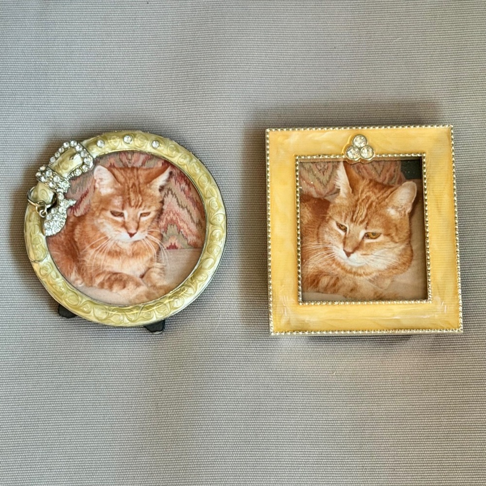 Green Tree Gallery Cat Frame Pair - Rhinestone Round & Square Orange Tabby Photo